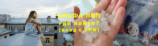герыч Алексин